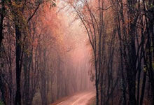 问鼎娱乐官网:体图:勒沃库森计划今夏在巴西设立集训营.