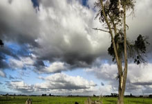 [国内球]协杯半决赛：上海海港VS上海申花.