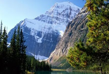 问鼎娱乐官网：纽卡跟队记者：托纳利加盟米兰或尤文？纽卡估价9000万到1亿欧.